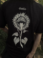 Helianthus Vorax
