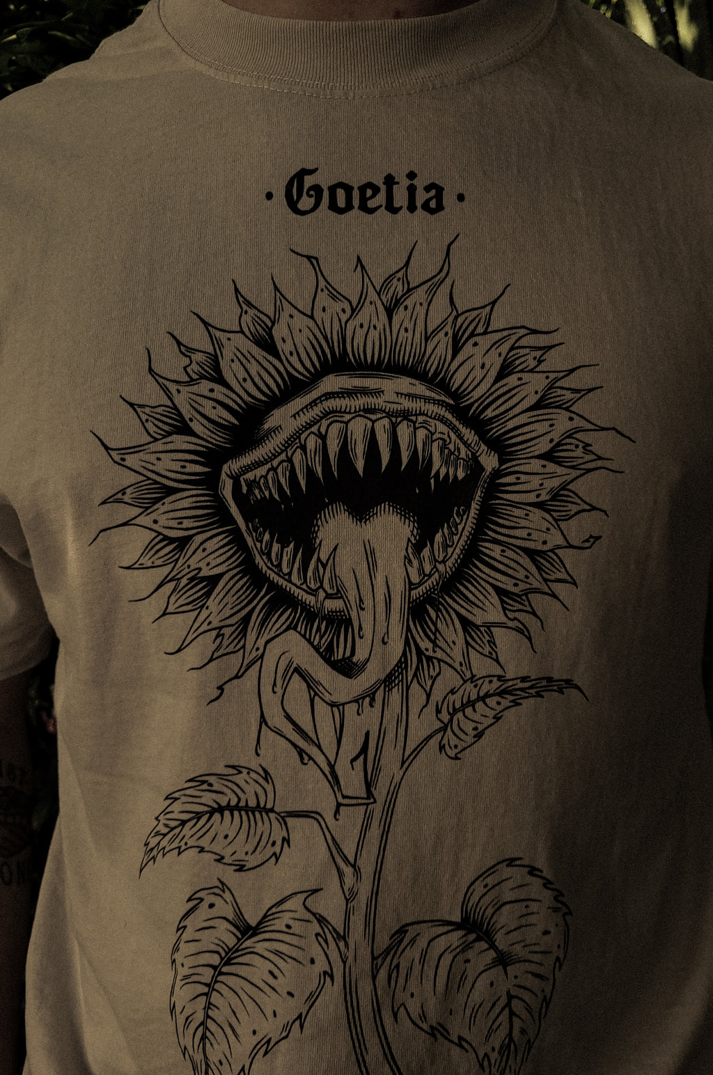 Helianthus Vorax