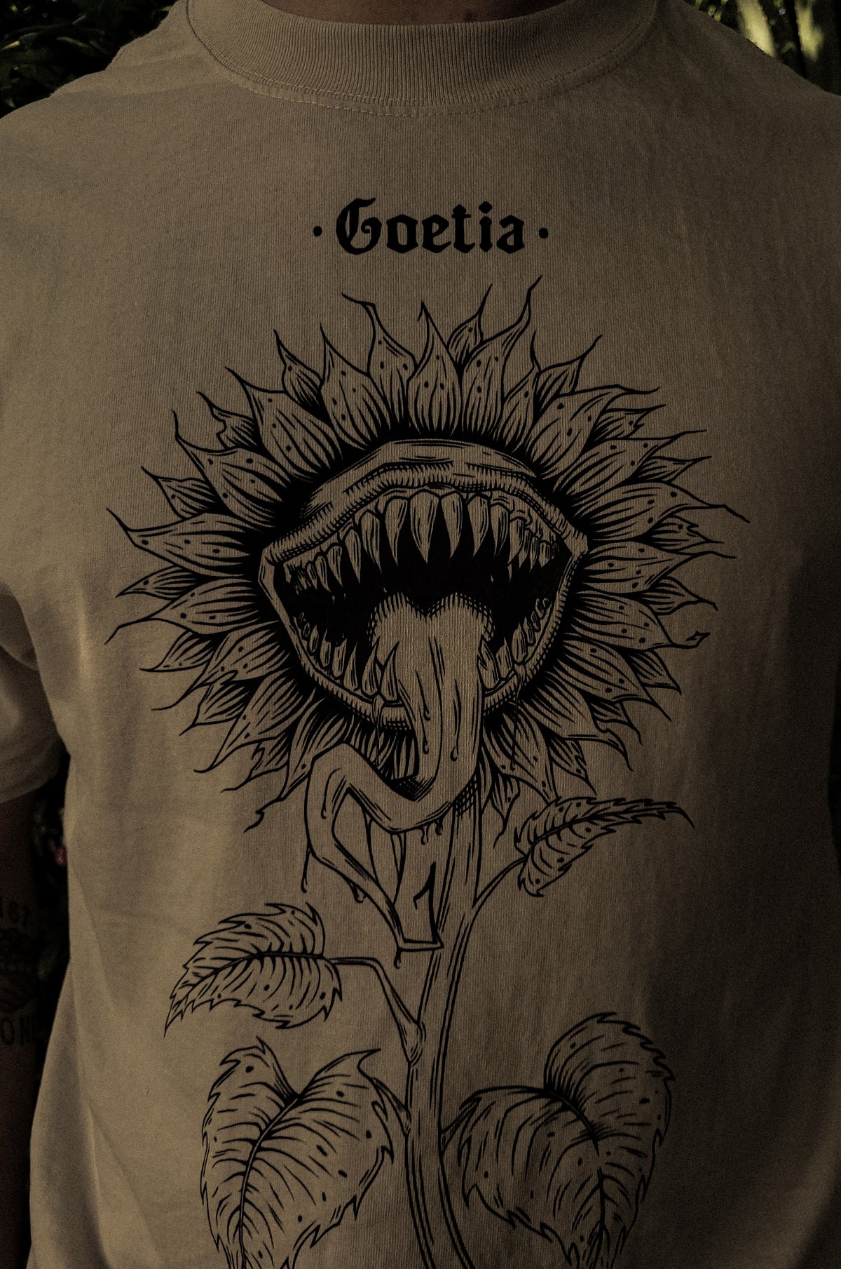 Helianthus Vorax