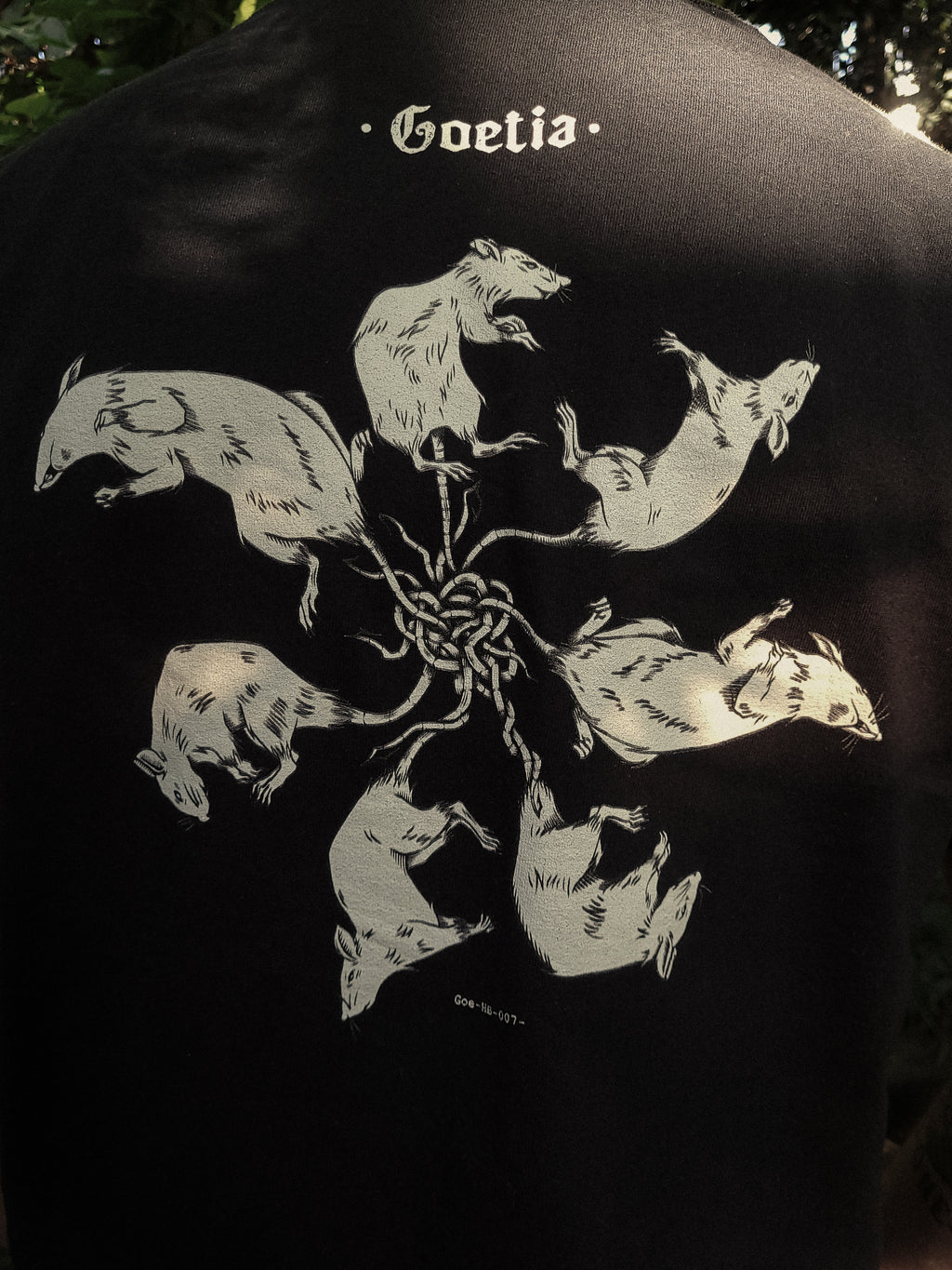 Rex Ratorum