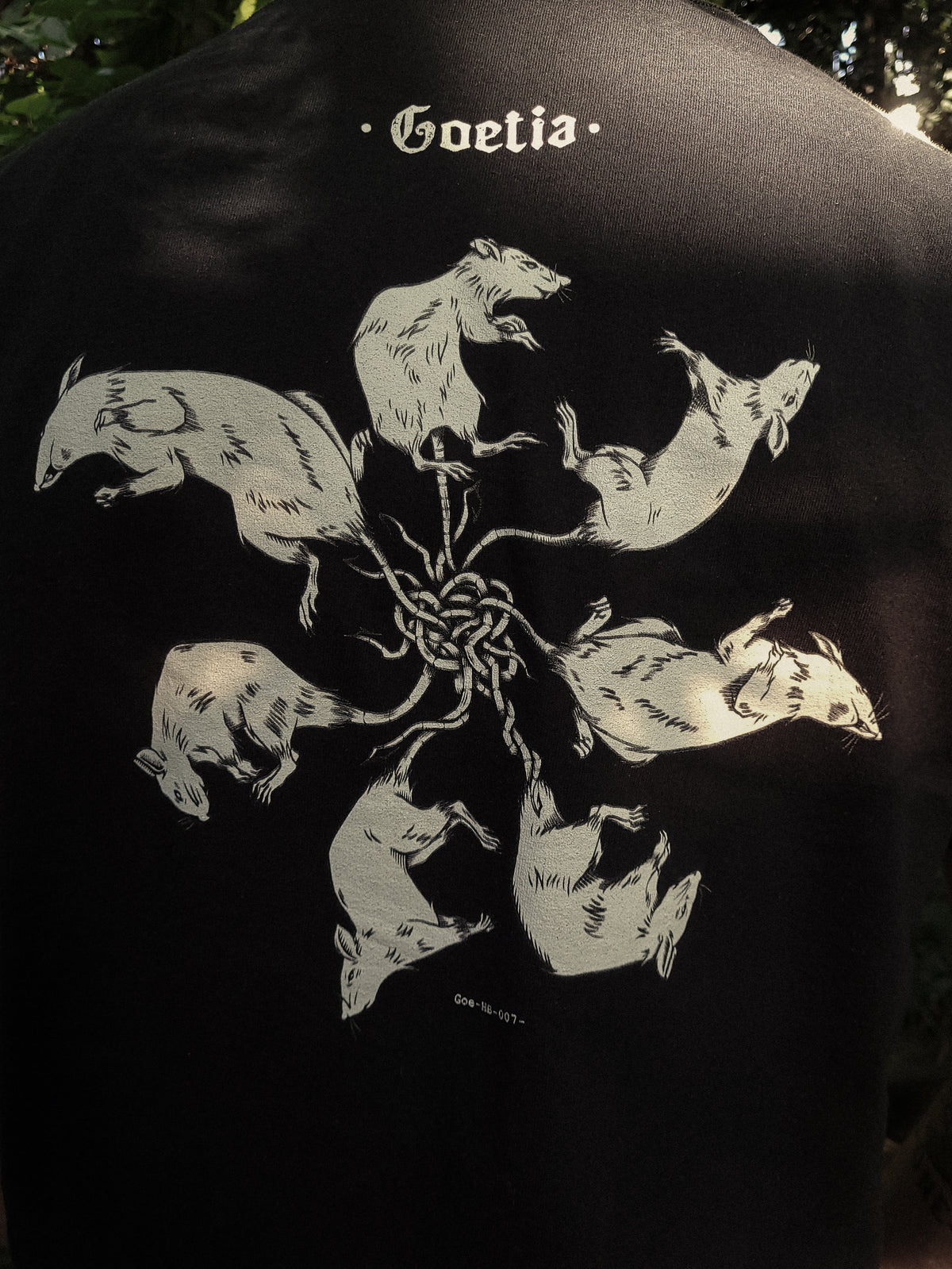 Rex Ratorum