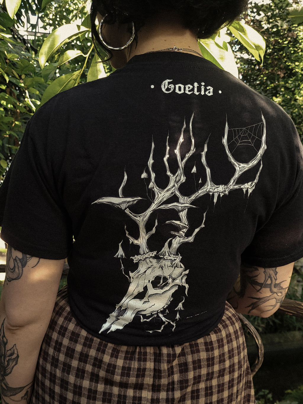 Cervus Renatus