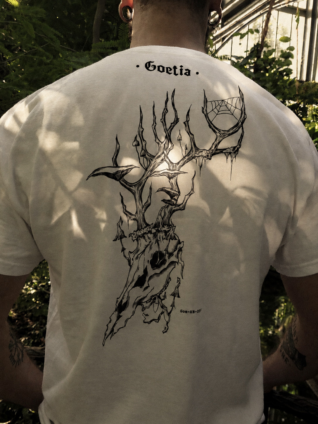 Cervus Renatus